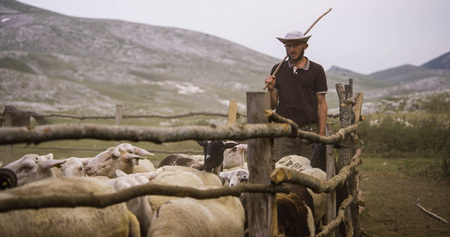 Gora se ne bo premaknila (2)